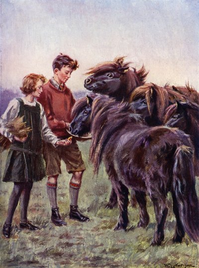 Jongen en meisje voeren Shetland pony