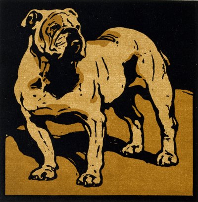 De Britse Bulldog, uit 