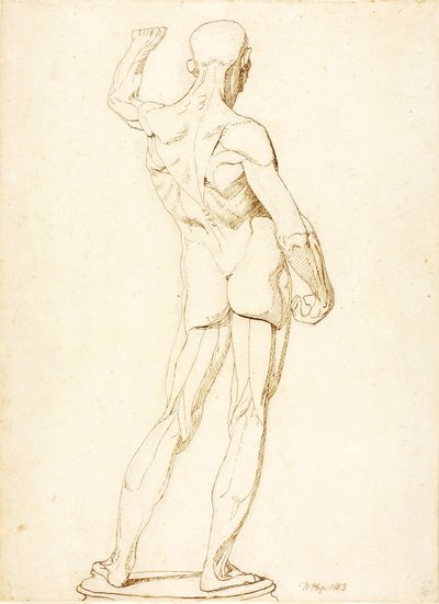 (Een Ecorche, Achteraanzicht) door William Page