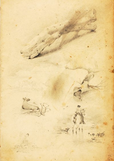 (Studies - figuren, boomstammen, paard en ruiter, etc.) door William Page