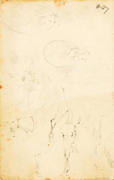 (Studies - figuren, boomstammen, paard en ruiter, etc.) door William Page