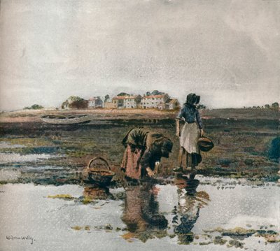 Mosselen plukken, ca. 1908 door William Page Atkinson Wells
