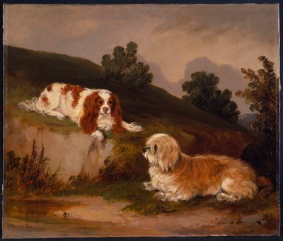 Landschap met spaniël en terriër door William Pascoe