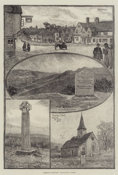 Zwerfschetsen, Haslemere, Surrey door William Rainey