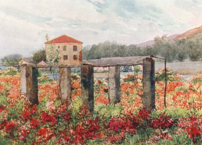  door William Scott