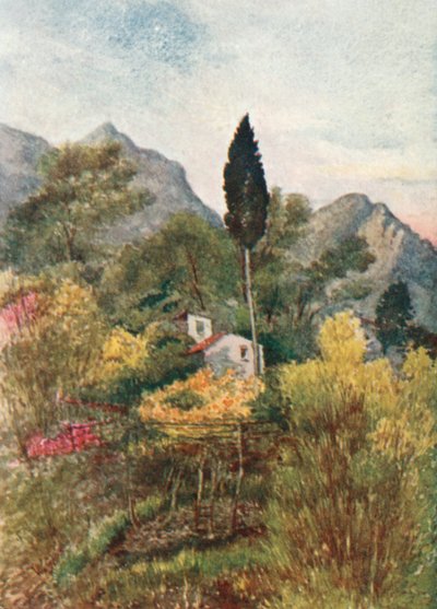  door William Scott