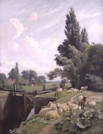 Landschap met een Kanaalsluis en een Kudde Schapen door William Sidney Cooper