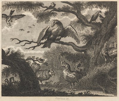 De gier, de mus en andere vogels door William Skelton