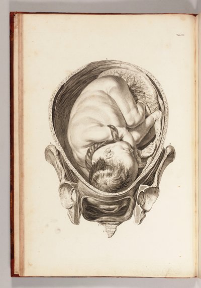 Gravure van een kind in de baarmoeder uit Een Set Anatomische Tafels, met Verklaringen, en een Samenvatting van de Praktijk van Verloskunde, 1754 door William Smellie