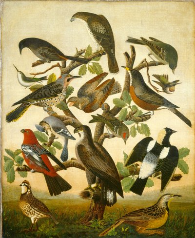 Vogels, ca. 1840 (olieverf op doek) door William Stephen Coleman