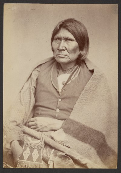 Comanche opperhoofd te paard [Tuh-huh-yet, Nau-qua-hip, Kampioen ruiter] door William Stinson Soule
