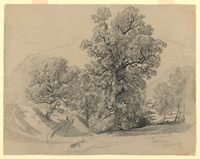 Landschap, Lauterbrunnen, Zwitserland door William Trost Richards