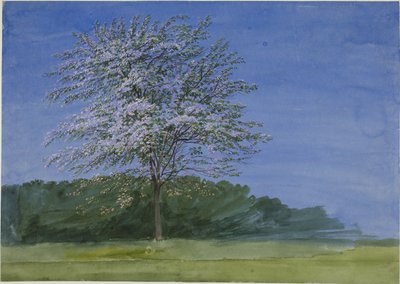 Studie van een bloeiende boom door Joseph Mallord William Turner
