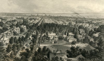 Stad van Buffalo, 1872 door William Wellstood