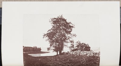 Sprinkhaanbomen op de oevers van de Bass River in Beverly door Wilson Flagg