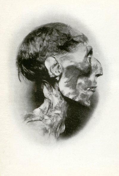 Hoofd van de mummie van Ramses II, Oude Egyptische farao van de 19e dynastie, ca. 1212 v.Chr., 1926 door Winifred Mabel Brunton