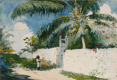 A Garden in Nassau door Winslow Homer