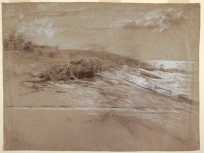 Tekening, Zeekust met struikdennen, Prout