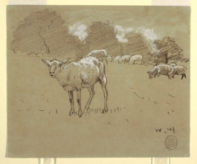 Tekening, Grazende schapen in een veld, ca. 1875-78 door Winslow Homer