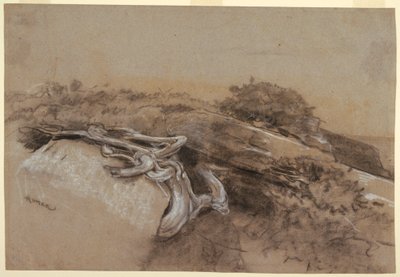 Tekening, Studie van boomwortels, Prout