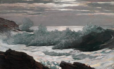 Vroege ochtend na een storm op zee, 1900-1903 door Winslow Homer