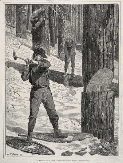  door Winslow Homer