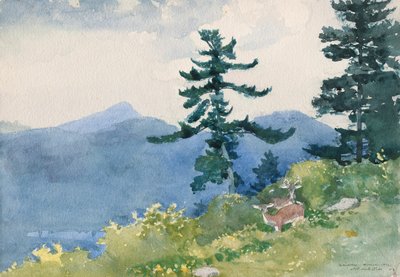 North Woods Club, Adirondacks (De onderbroken Tete-a-Tete) door Winslow Homer