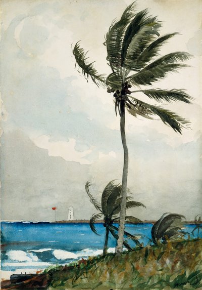 Palmboom, Nassau door Winslow Homer