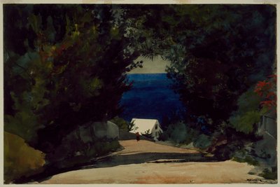 Weg in Bermuda, c.1899-1901 (aquarel op papier) door Winslow Homer
