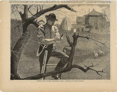 Voorjaarsboerderij-enting door Winslow Homer