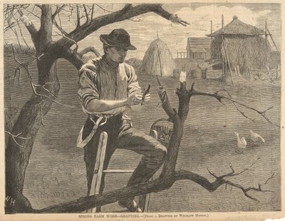 Lente boerderijwerk door Winslow Homer