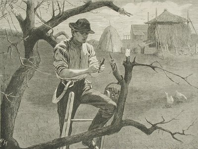  door Winslow Homer