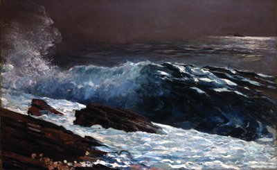 Zonlicht aan de kust door Winslow Homer