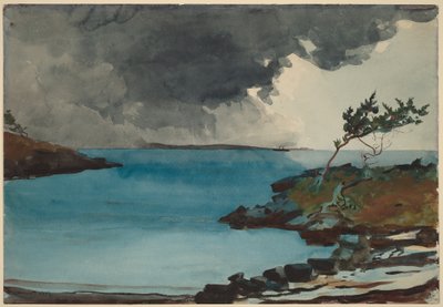  door Winslow Homer