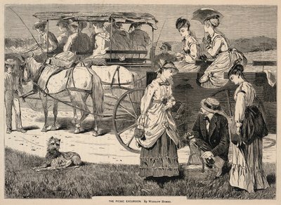 The Picnic Excursion, uit Appletons