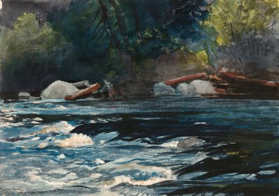 De Stroomversnellingen, Hudson River, Adirondacks door Winslow Homer