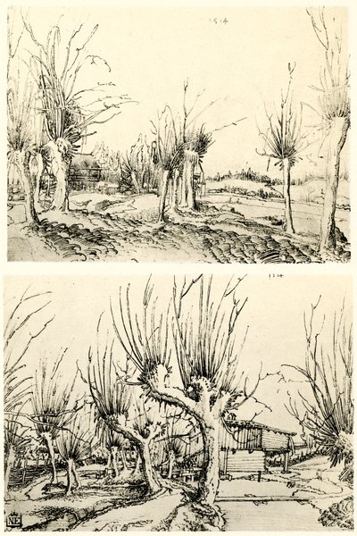 Landschappen met wilgenbomen door Wolf Huber