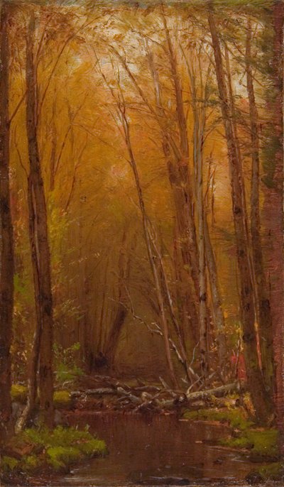 De berken van de Catskills door Worthington Whittredge