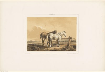 Twee paarden in een wei bij een hek door Wouter  Verschuur