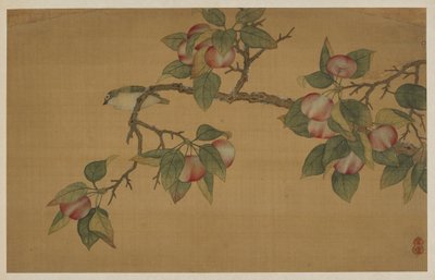 Vogel en fruit, Qing-dynastie, 1741 door Wu Zhang