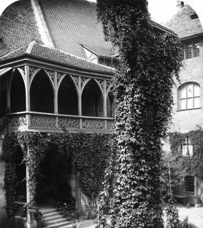 Lindeboom in een binnenplaats, Neurenberg, Beieren, Duitsland, ca. 1900s door Wurthle and Sons