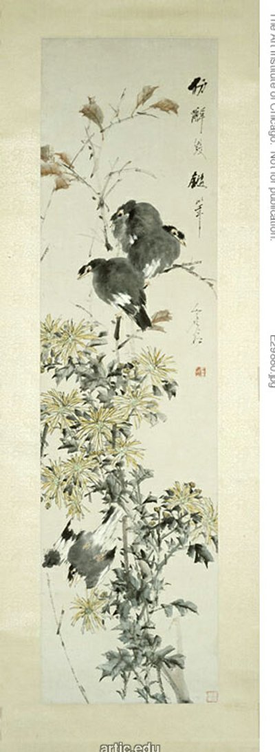 Kuif Myna Vogels en chrysanten door Xugu