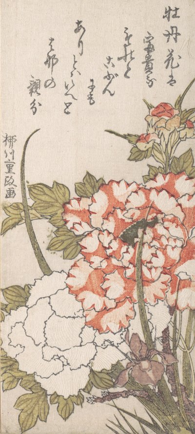 Pioenen en Iris door Yanagawa Shigemasa
