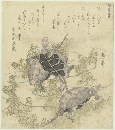 Drie schildpadden tussen waterplanten door Yashima Gakutei