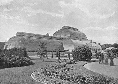 Het Grote Palmhuis, Kew Gardens, ca. 1896 door York and Son