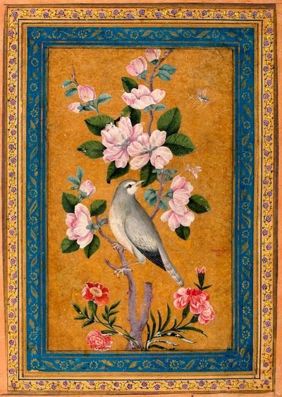 Vogel Zittend op een Bloeiende Tak, 1696 door Yusuf Zaman