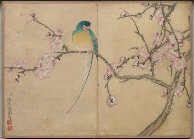 Bureau-album: Schilderijen van bloemen en vogels (Vogel met pruimenbloesems) door Zhang Ruoai