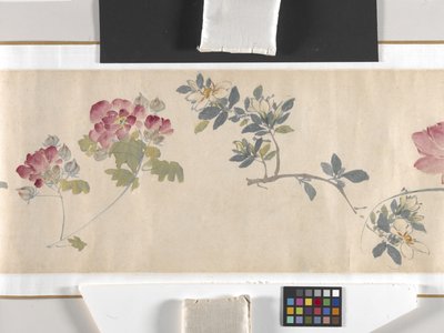 Gekleurde bloemen door Zhimian Zhou