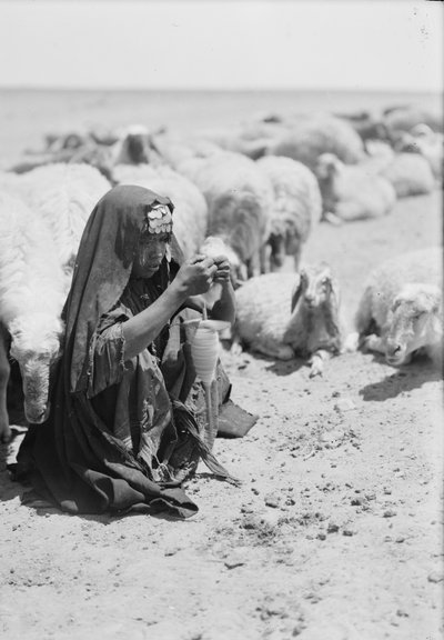 Een jonge bedoeïenherderin die spint nabij Beersheba door . .