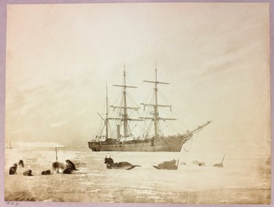 Expeditie naar de Noordpool (1875-1876) van kapitein George Nares (1831-1915): H door Frederick (attr. to) Barnard